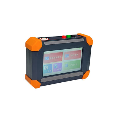 Digital Insulation Resistance Tester with 2000GΩ Range, 5000V Test Voltage, and 500 Groups Data Storage